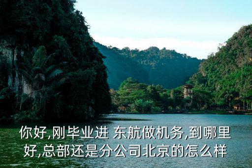 你好,剛畢業(yè)進(jìn) 東航做機務(wù),到哪里好,總部還是分公司北京的怎么樣
