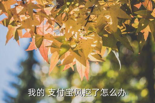 支付寶賬號風險怎么辦,支付寶風險控制可根據頁面提示進行