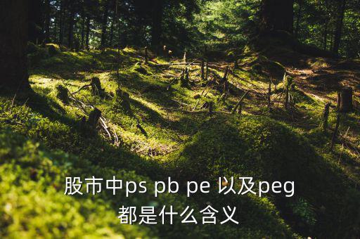 股市peg是什么意思，請(qǐng)問(wèn)在股市里的PEG是什么意思和股價(jià)的關(guān)系怎樣多謝