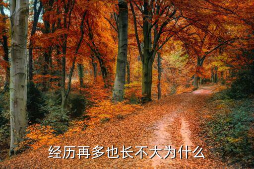 長不大的人為什么事業(yè)還能成功，失去二十幾歲的時間男人還能在事業(yè)上成功嗎