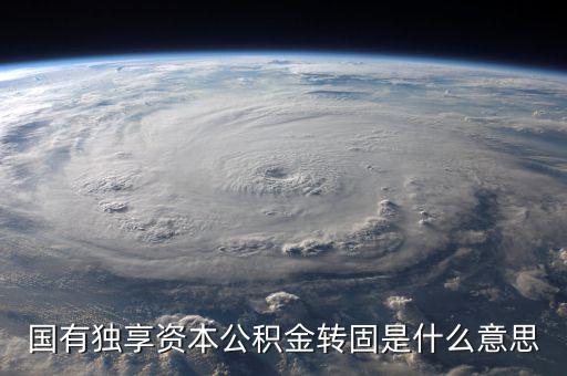 國有獨(dú)享資本公積金轉(zhuǎn)固是什么意思