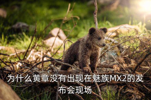 黃章為什么離開魅族，黃章離開了魅族公司嗎為什么每次發(fā)布會他都不來