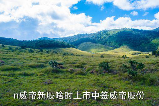 威帝股份什么時(shí)候上市，n威帝新股啥時(shí)上市中簽威帝股份
