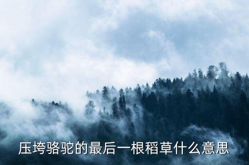 壓垮駱駝的最后一根稻草什么意思，壓死駱駝的最后一根稻草意味著什么