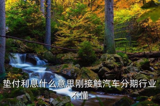 墊付利息是什么意思，紅利保險(xiǎn)會(huì)自動(dòng)墊付期間會(huì)出利息
