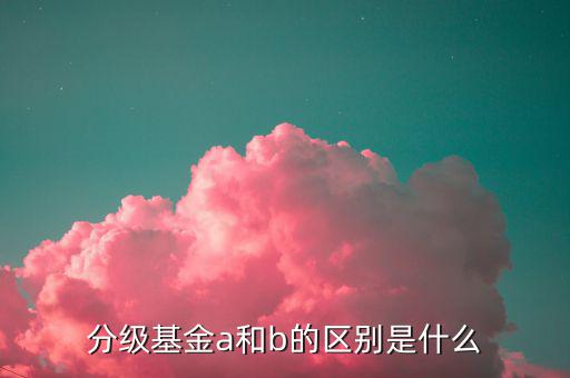 什么是a份額，分級(jí)基金A份額是什么意思