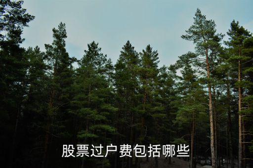 股票交易過戶費是什么，股市的過戶費是什么意思