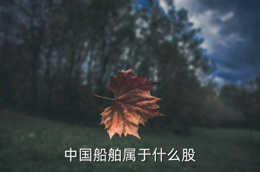 中國船舶是什么板塊，中國船舶原始股每股多少人民幣
