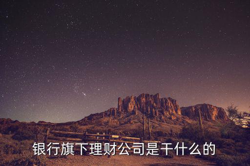 理財公司經(jīng)主要做什么，理財經(jīng)理是一般做什么