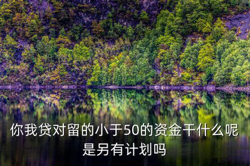 你我貸為什么我要投2萬才能減50，你我貸對留的小于50的資金干什么呢是另有計劃嗎