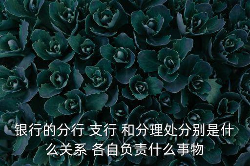 銀行的分行 支行 和分理處分別是什么關系 各自負責什么事物