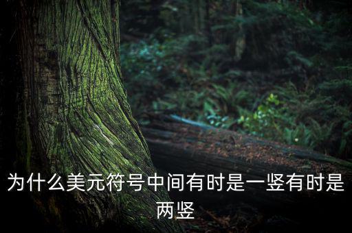 比美元符號多一豎是什么，一個很像美元的符號 但是那一豎是不貫穿S的 也就是S上面有一小豎