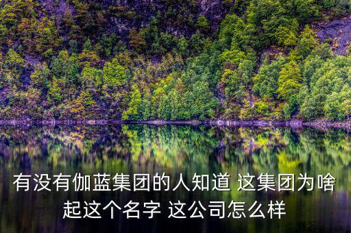 伽藍(lán)集團(tuán)為什么不上市，伽藍(lán)集團(tuán)是一家什么企業(yè)