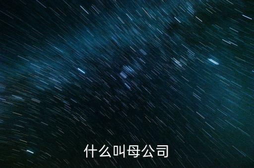 財務(wù)報告中母公司是什么意思，財務(wù)報表中的合并與母公司是什么意思