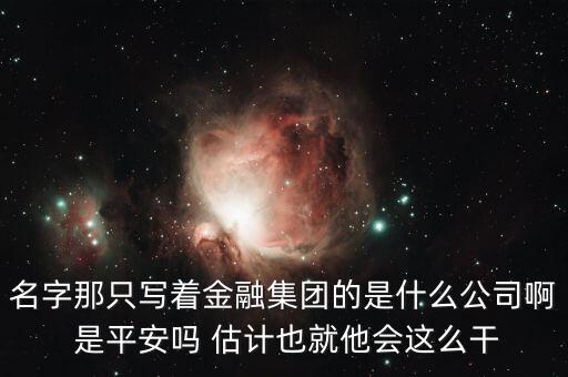中生金控屬什么企業(yè)，我國四大金融控股公司是什么