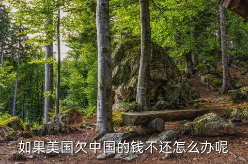 如果美國(guó)欠中國(guó)的錢(qián)不還怎么辦呢