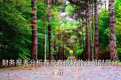 初學(xué)者財(cái)務(wù)分析分析什么公司，投資公司財(cái)務(wù)分析范文