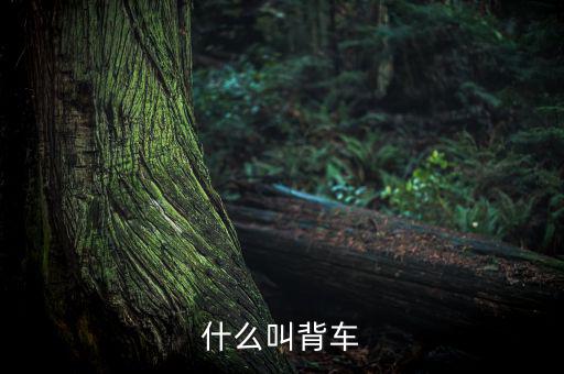 汽車背上叫什么來的，艙背車為何物