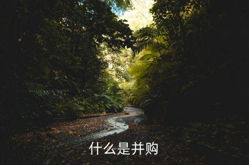 什么叫并購，什么是并購