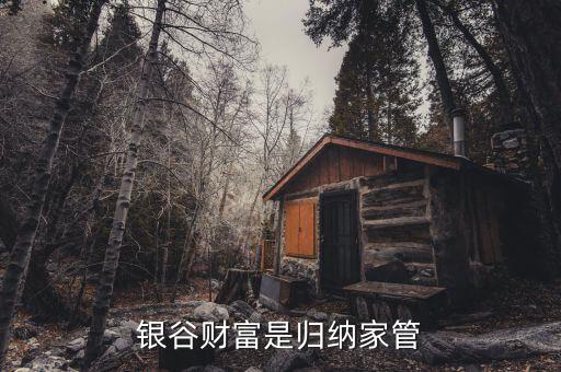 國家對銀谷財富是什么整策，銀谷財富是歸納家管