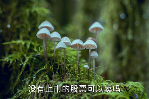 沒上市的股權(quán)證什么時候可以賣錢，新股如果中簽了沒上市能賣出