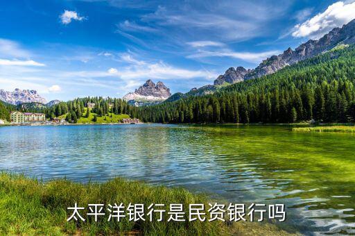 民資為什么銀行，太平洋銀行是民資銀行嗎