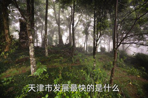 天津靠什么發(fā)展，天津市發(fā)展最快的是什么