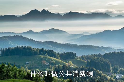 什么是公共消費(fèi)，什么叫做公共消費(fèi)啊