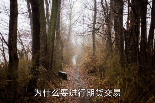 為什么國內(nèi)期貨，為什么要做期貨投資