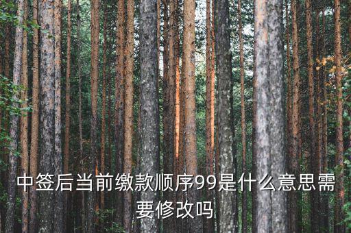 繳款順序99是什么意思，99是什么意思