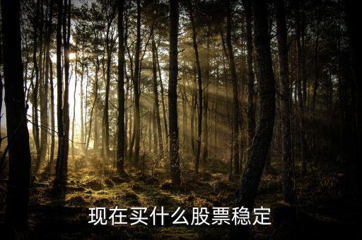 買什么股票比較穩(wěn)妥，現(xiàn)在買什么股票穩(wěn)定