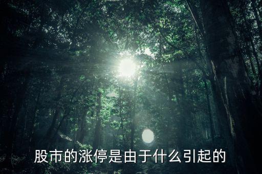 股票漲停跟什么有關系，股票開盤就漲停受什么因素影響能否具體回答