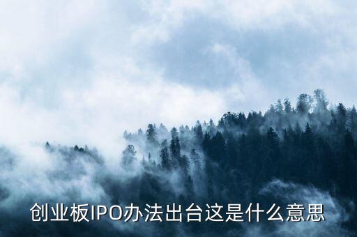 創(chuàng)業(yè)板ipo是什么意思，什么是創(chuàng)業(yè)板IPO泡沫