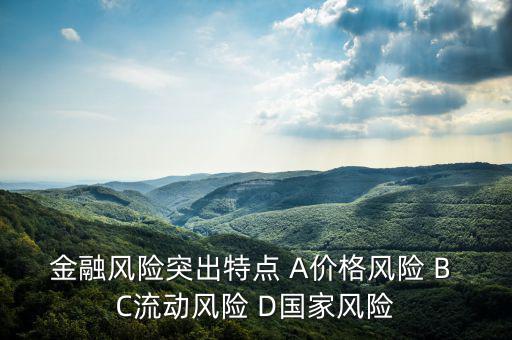 金融風險有什么特征，試述國際金融風險的特征
