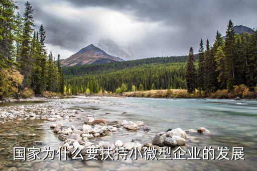 國家為什么要鼓勵小微企業(yè)的發(fā)展，國家為什么要扶持小微型企業(yè)的發(fā)展