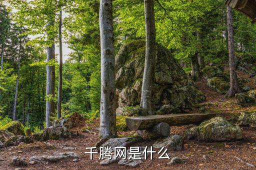 千微網(wǎng)是什么，千庫(kù)網(wǎng)是做什么的