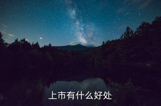上市有什么好處，上市公司有什么好處