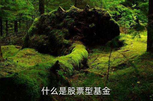 什么是權(quán)重股票基金，什么是股票型基金