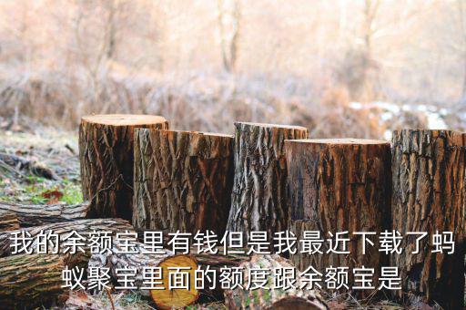 有什么軟件像存金寶那樣的，類似支付寶的理財產品有哪些