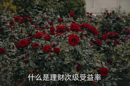 次級收益是什么，什么是理財次級受益率