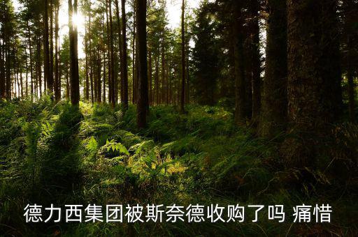 德力西什么時候被收購的，德力西集團被斯奈德收購了嗎 痛惜