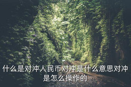 什么是基金a基金b對沖，什么是對沖人民幣對沖是什么意思對沖是怎么操作的