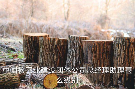 中國核工業(yè)集團(tuán)什么級別，中國核工業(yè)建設(shè)團(tuán)體公司總經(jīng)理助理甚么級別