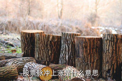 什么是脈沖式上漲，脈沖上升時間什么意思