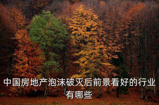 房地產(chǎn)泡沫后什么行業(yè)賺錢(qián)，如果真有一天中國(guó)房地產(chǎn)泡沫破了我們做點(diǎn)什么賺錢(qián)呢或者說(shuō)有