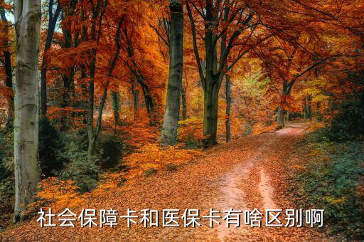 社會保障卡和醫(yī)?？ㄓ猩秴^(qū)別啊