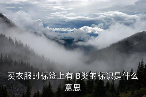 有色b是什么，買衣服時標(biāo)簽上有 B類的標(biāo)識是什么意思