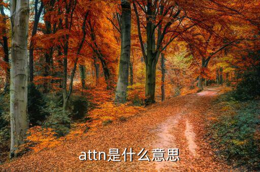 丙方是什么意思，attn是什么意思