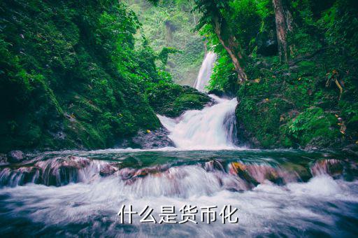 什么是貨幣化改革，實行貨幣化改革是什么意思