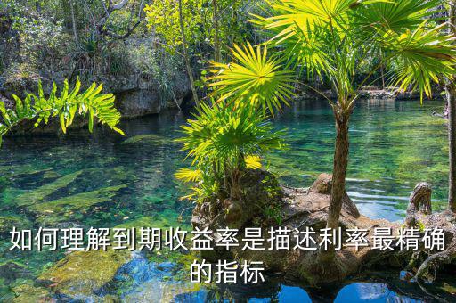 衡量利率最精確的指標(biāo)通常是什么，什么是一個(gè)很好的債券利率風(fēng)險(xiǎn)衡量指標(biāo)
